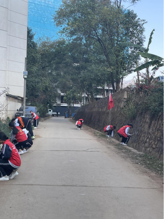 说明: 图片