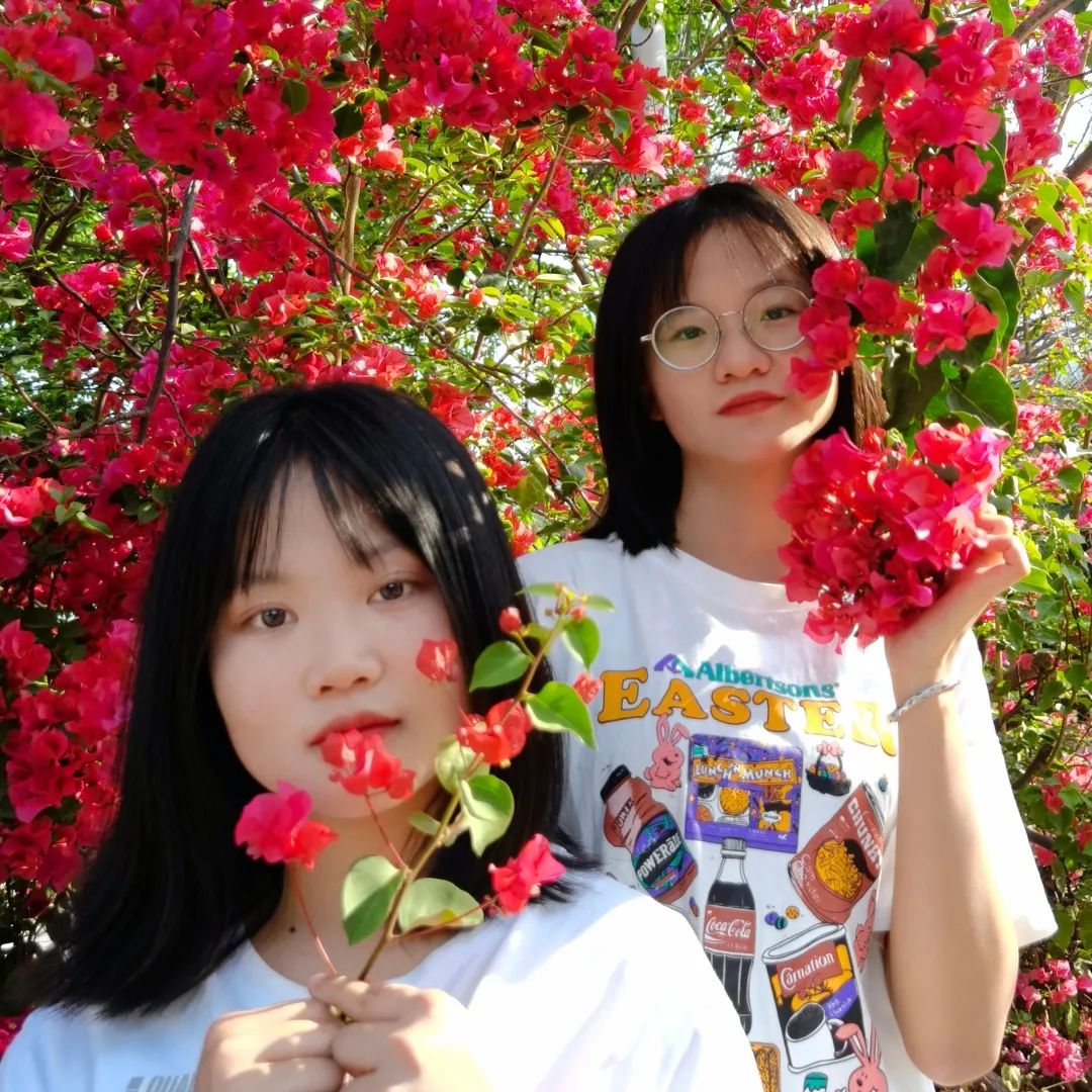 说明: 图片