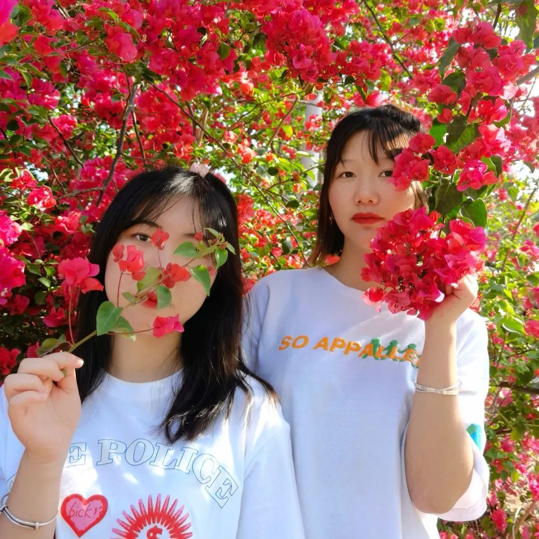 说明: 图片