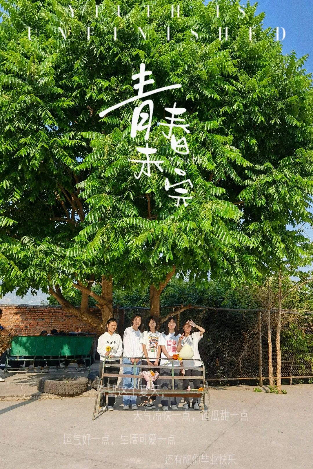 说明: 图片