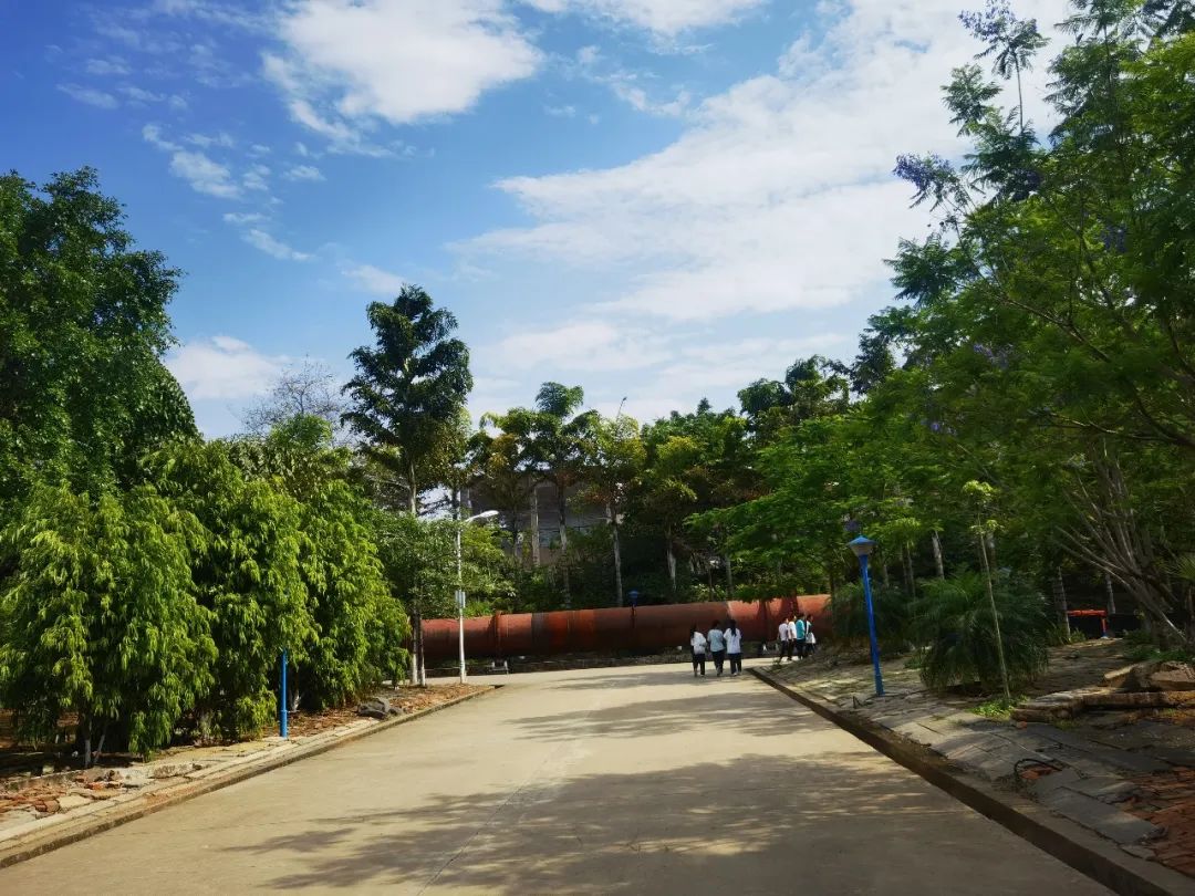 说明: 图片